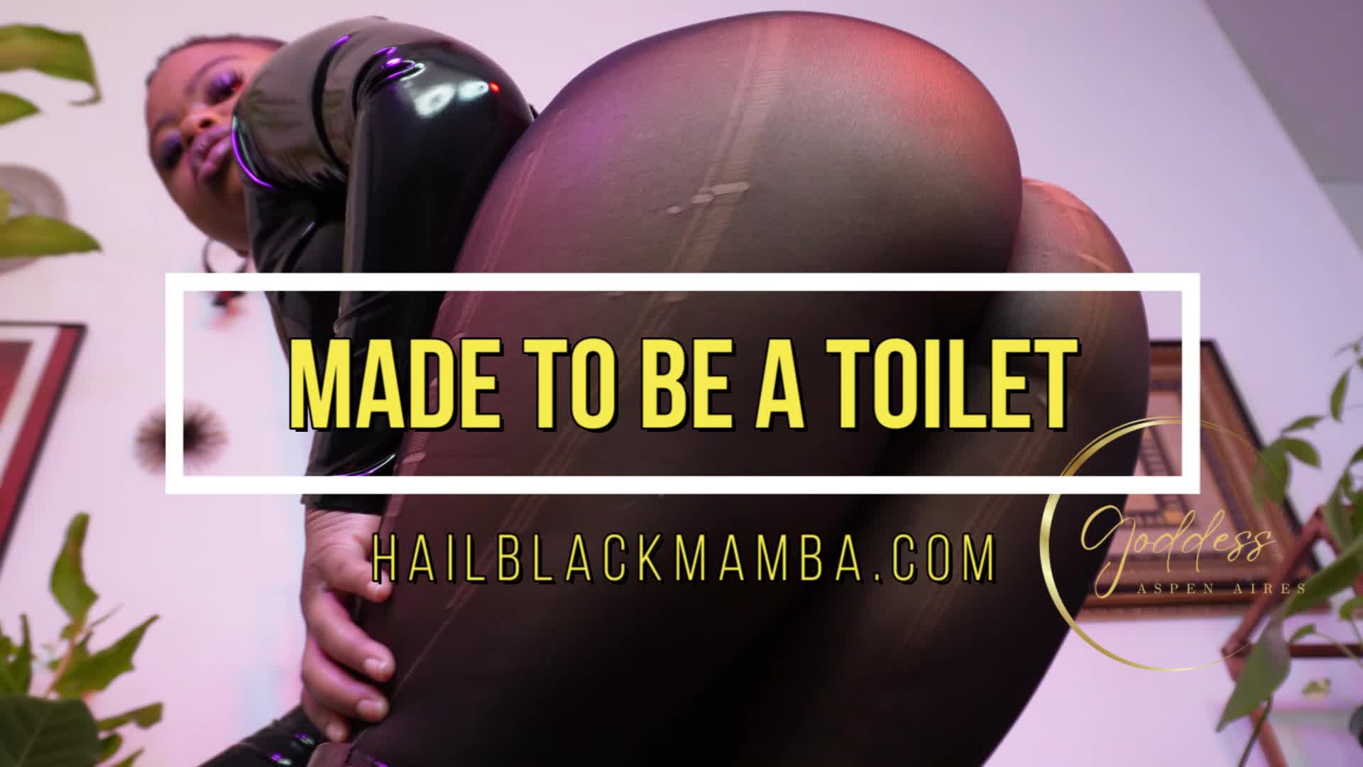 Femdom Toilet Slavery - Porn Video Clips For Sale at iWantClips - Page 22